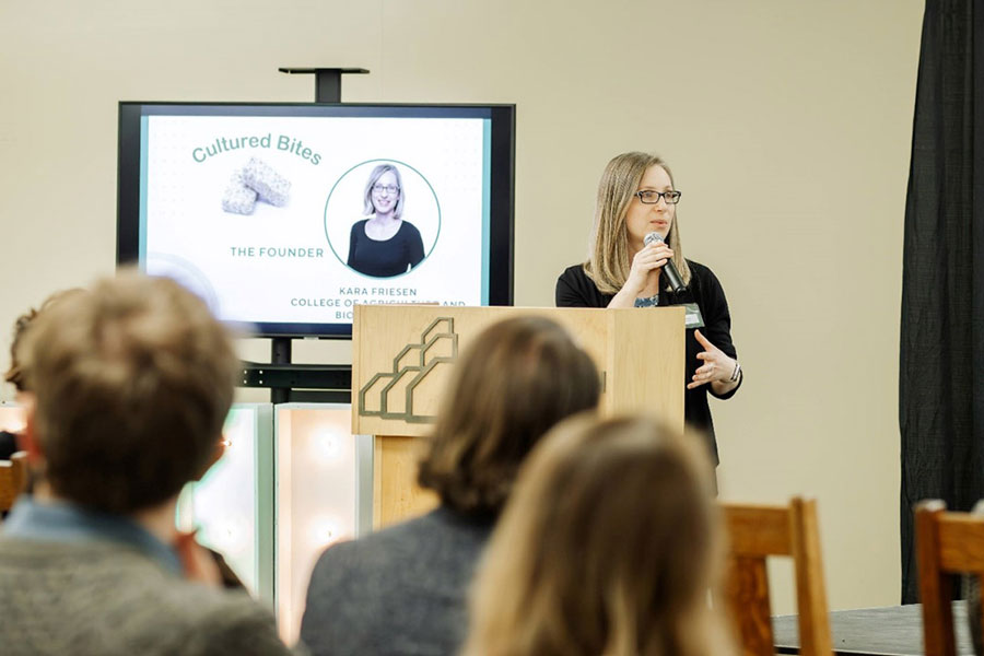 Fermented plant-protein research